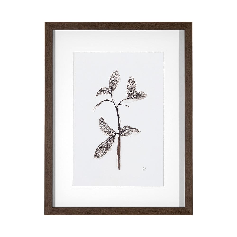 Mercana - Olive Branch II by Gabrielle a Framed Art Print Matted under Glass - 13492 view 1