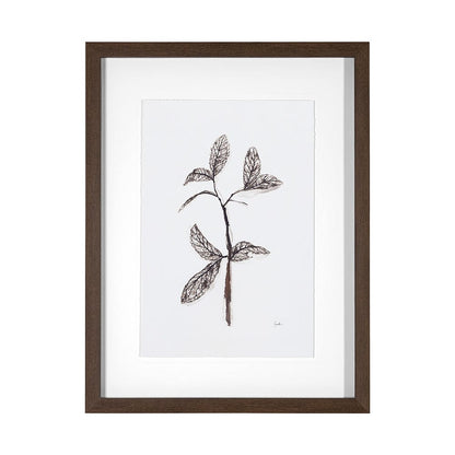 Mercana - Olive Branch II by Gabrielle a Framed Art Print Matted under Glass - 13492 view 1
