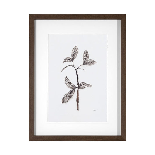 Mercana - Olive Branch II by Gabrielle a Framed Art Print Matted under Glass - 13492 view 1