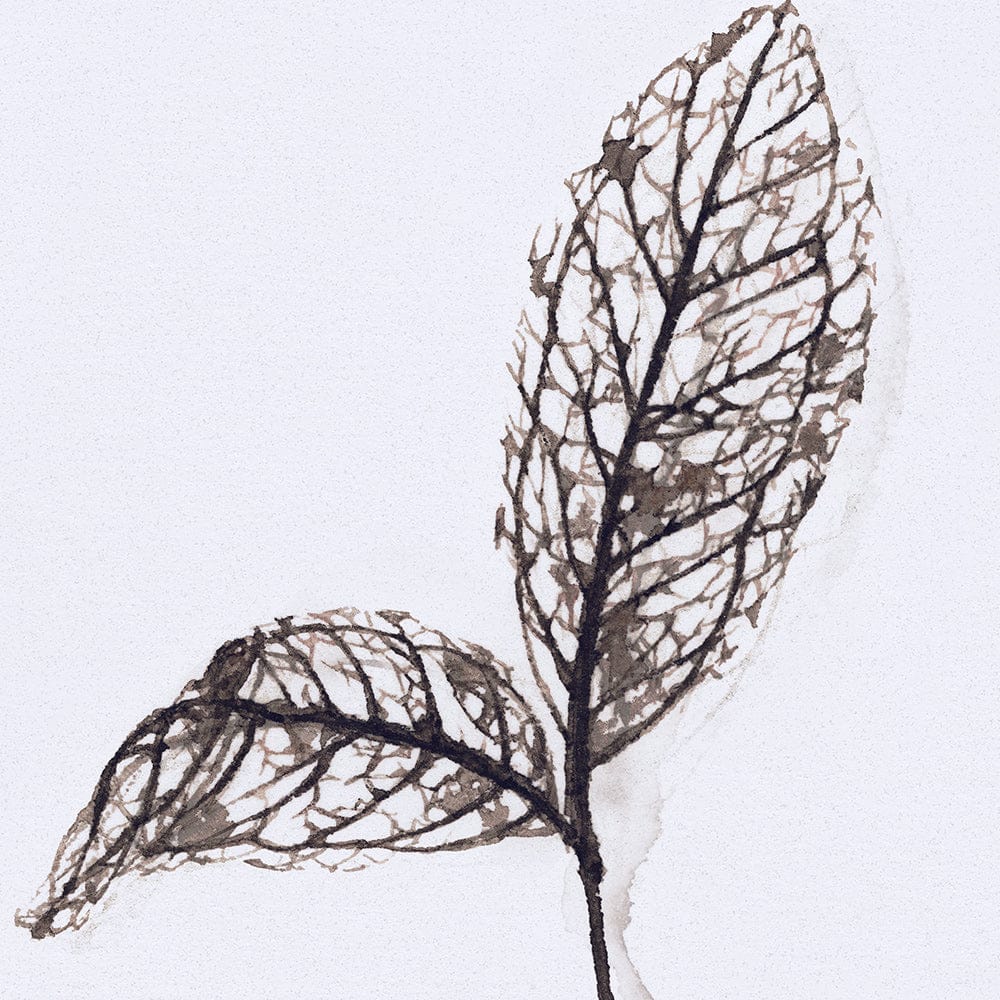 Mercana - Olive Branch II by Gabrielle a Framed Art Print Matted under Glass - 13492 view 7