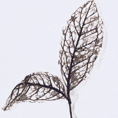 Mercana - Olive Branch II by Gabrielle a Framed Art Print Matted under Glass - 13492 view 7
