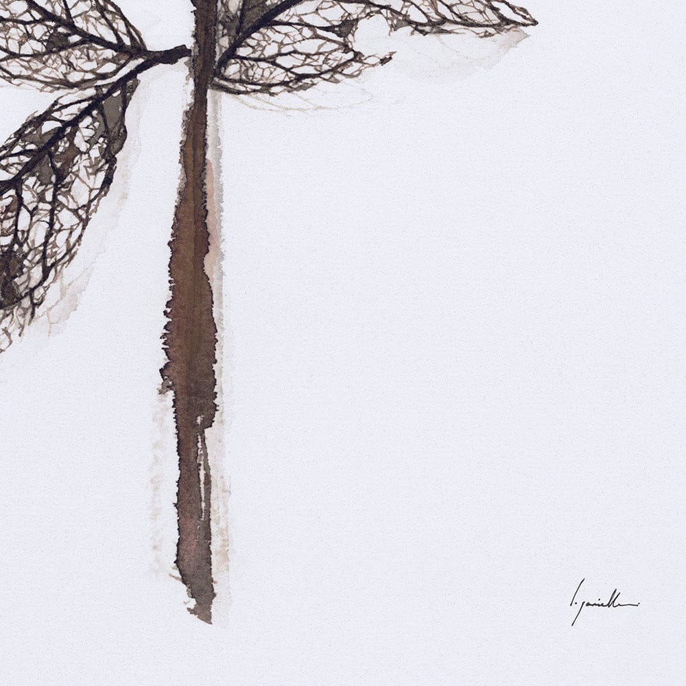 Mercana - Olive Branch II by Gabrielle a Framed Art Print Matted under Glass - 13492 view 8