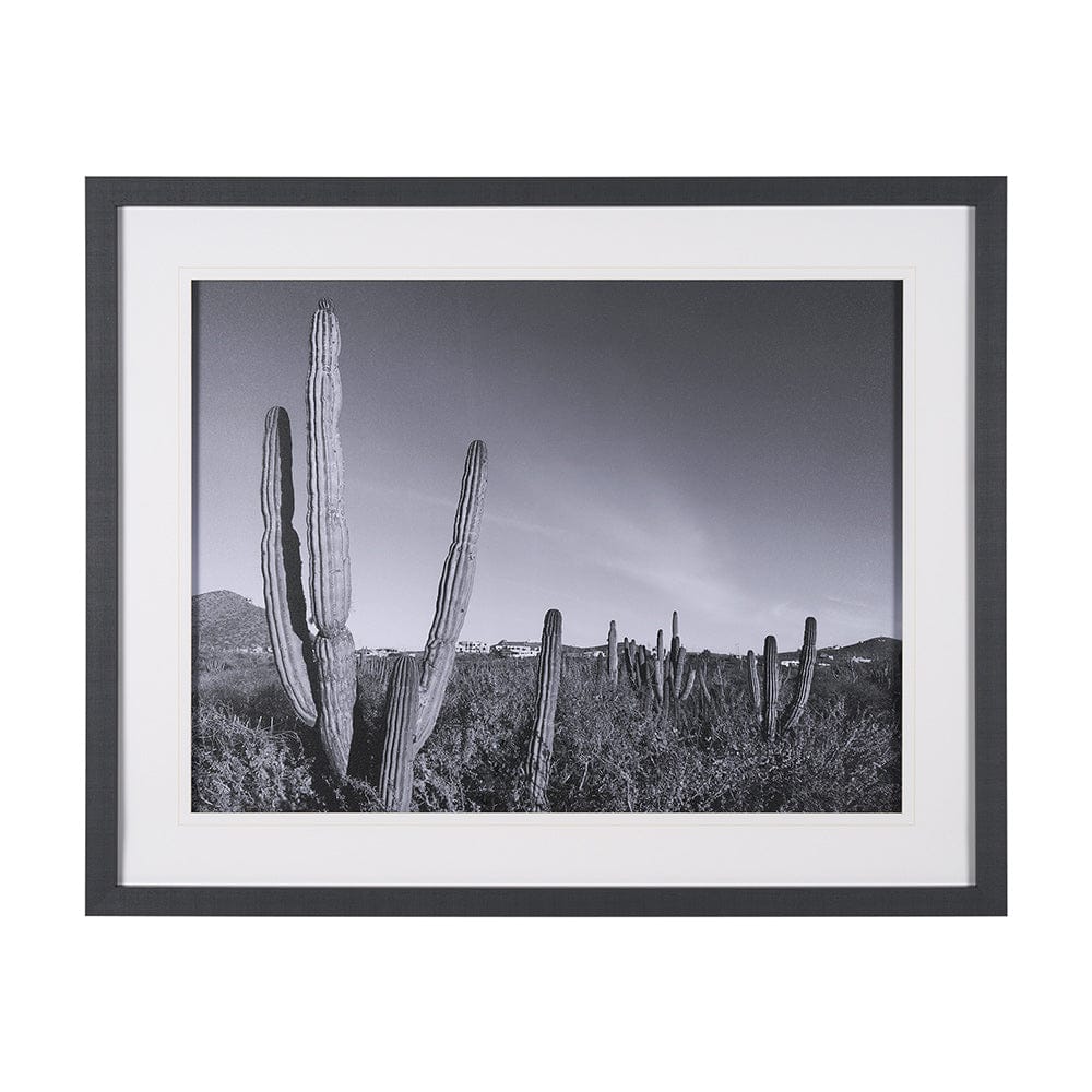 Mercana - On The Ranch Cactus I by Norm Stelfox Hand Embelished Textured Framed Art Print Matted under Glass - 15450 view 1