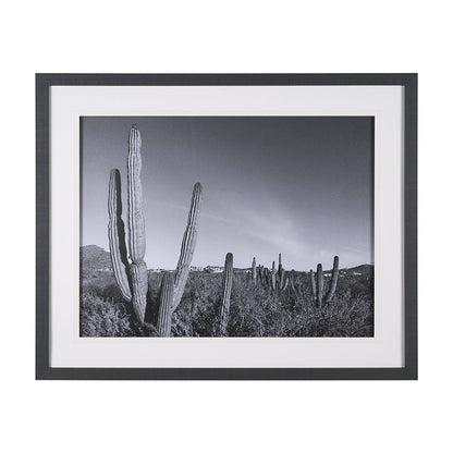 Mercana - On The Ranch Cactus I by Norm Stelfox Hand Embelished Textured Framed Art Print Matted under Glass - 15450 view 1