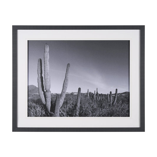 Mercana - On The Ranch Cactus I by Norm Stelfox Hand Embelished Textured Framed Art Print Matted under Glass - 15450 view 1