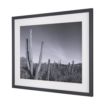 Mercana - On The Ranch Cactus I by Norm Stelfox Hand Embelished Textured Framed Art Print Matted under Glass - 15450 view 2