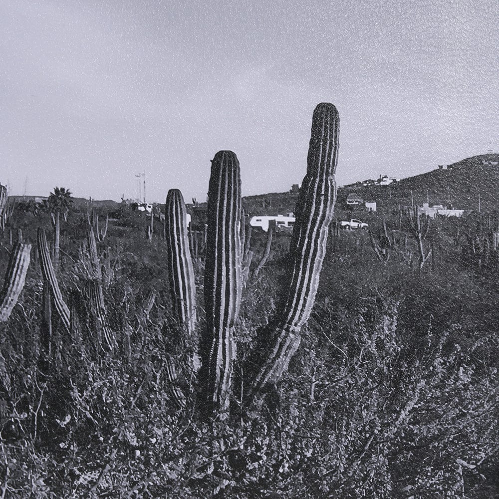 Mercana - On The Ranch Cactus I by Norm Stelfox Hand Embelished Textured Framed Art Print Matted under Glass - 15450 view 6