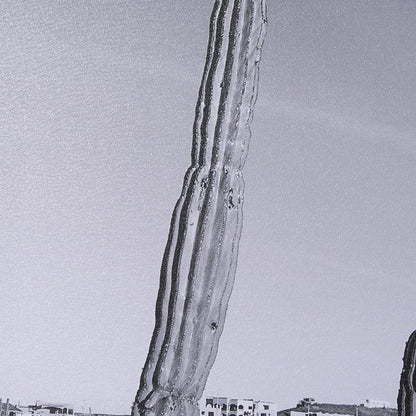 Mercana - On The Ranch Cactus I by Norm Stelfox Hand Embelished Textured Framed Art Print Matted under Glass - 15450 view 7
