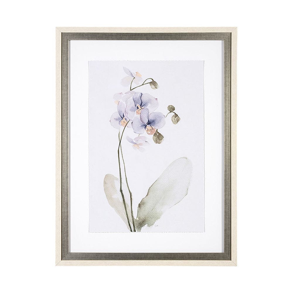 Mercana - Orchid I by Gabrielle Campbell a Framed Art Print Matted under Glass - 13518 view 1