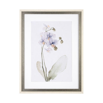 Mercana - Orchid I by Gabrielle Campbell a Framed Art Print Matted under Glass - 13518 view 1