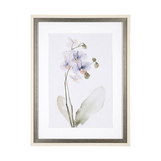 Mercana - Orchid I by Gabrielle Campbell a Framed Art Print Matted under Glass - 13518 view 1