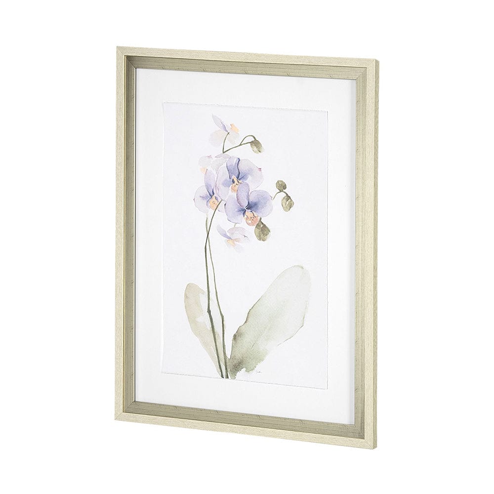 Mercana - Orchid I by Gabrielle Campbell a Framed Art Print Matted under Glass - 13518 view 3