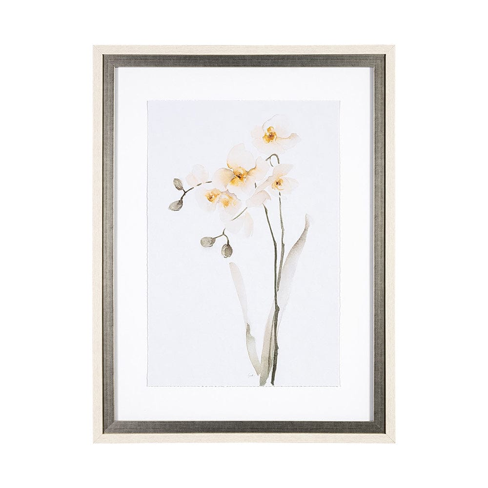 Mercana - Orchid II by Gabrielle Campbell a Framed Art Print Matted under Glass - 13519 view 1