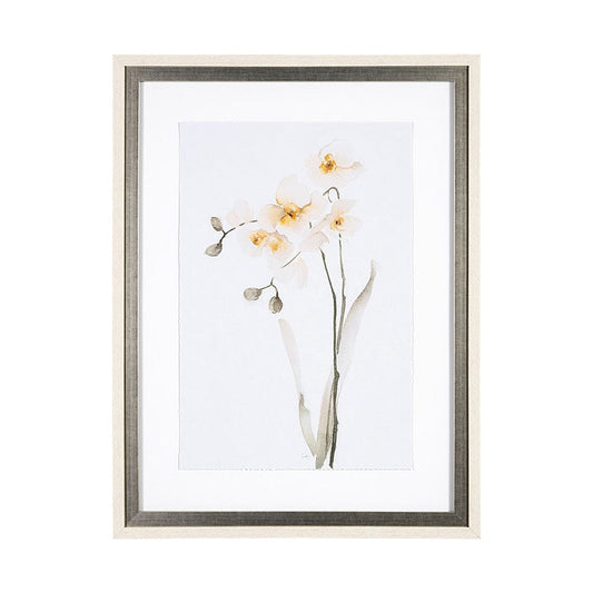 Mercana - Orchid II by Gabrielle Campbell a Framed Art Print Matted under Glass - 13519 view 1