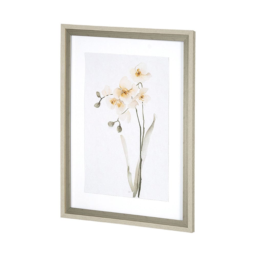 Mercana - Orchid II by Gabrielle Campbell a Framed Art Print Matted under Glass - 13519 view 3