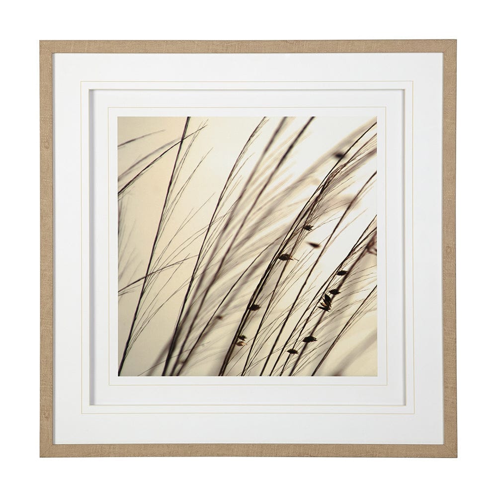 Mercana - Organic I by Tony Koukos a Hand Embellished Textured Framed Art Photograph Matted under Glass - 12303 view 1