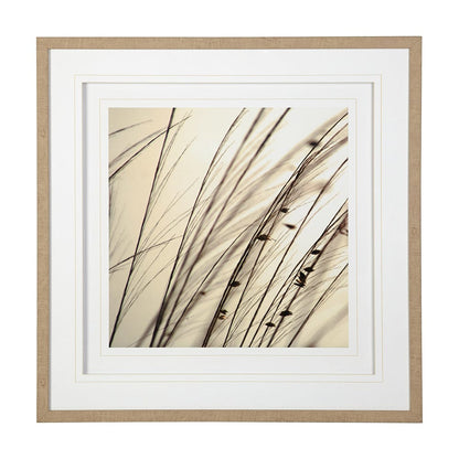 Mercana - Organic I by Tony Koukos a Hand Embellished Textured Framed Art Photograph Matted under Glass - 12303 view 1