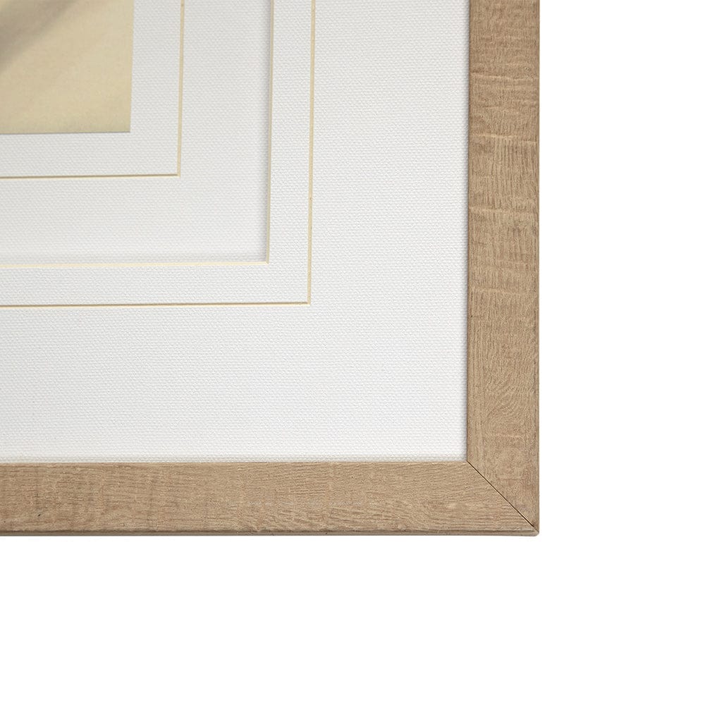 Mercana - Organic I by Tony Koukos a Hand Embellished Textured Framed Art Photograph Matted under Glass - 12303 view 3