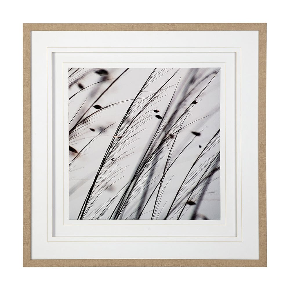 Mercana - Organic II by Tony Koukos a Hand Embellished Textured Framed Art Photograph Matted under Glass - 12304 view 1