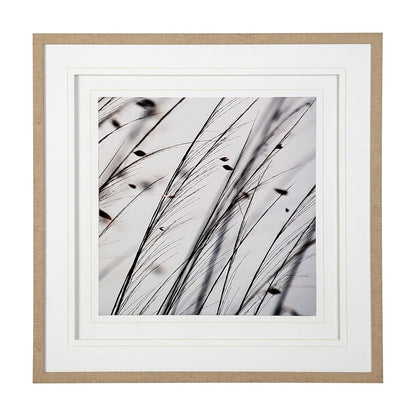 Mercana - Organic II by Tony Koukos a Hand Embellished Textured Framed Art Photograph Matted under Glass - 12304 view 1