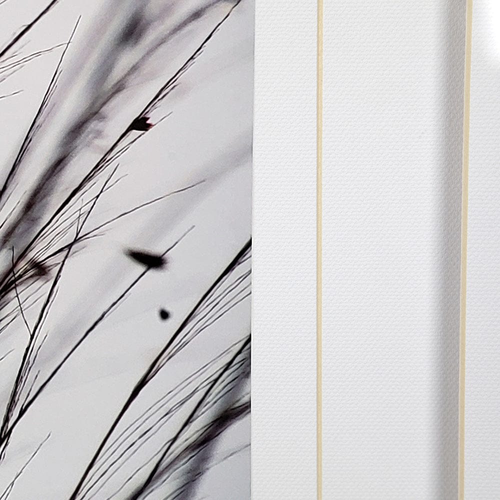 Mercana - Organic II by Tony Koukos a Hand Embellished Textured Framed Art Photograph Matted under Glass - 12304 view 4