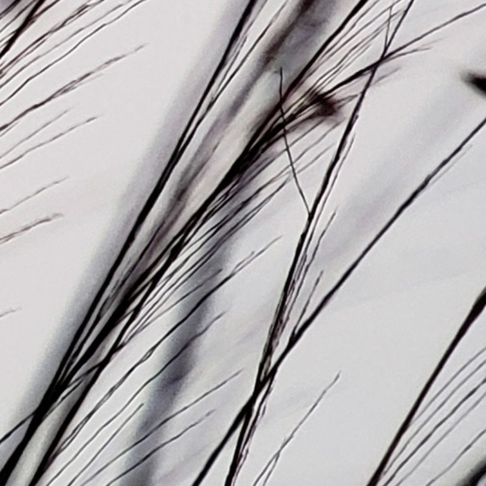 Mercana - Organic II by Tony Koukos a Hand Embellished Textured Framed Art Photograph Matted under Glass - 12304 view 5