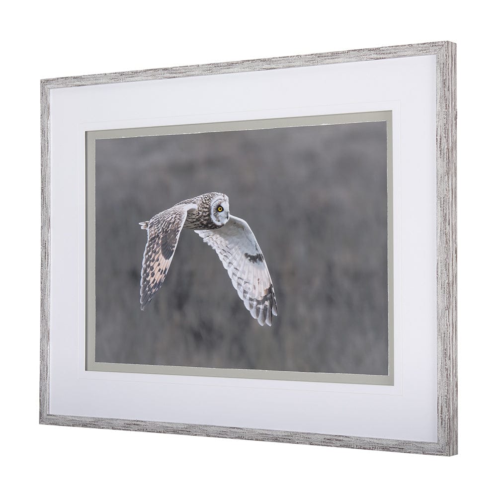 Mercana - Owl in Flight by Chad Mackay a Framed Art Print Matted under Glass - 14876 view 2