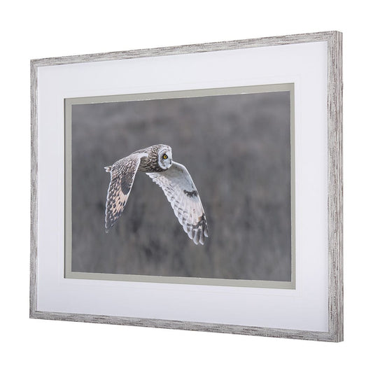 Mercana - Owl in Flight by Chad Mackay a Framed Art Print Matted under Glass - 14876 view 2