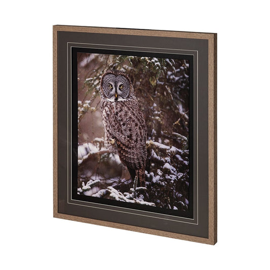 Mercana - Owl in the Snow by PHBurchett a Framed Art Print Matted under Glass - 12797 view 2