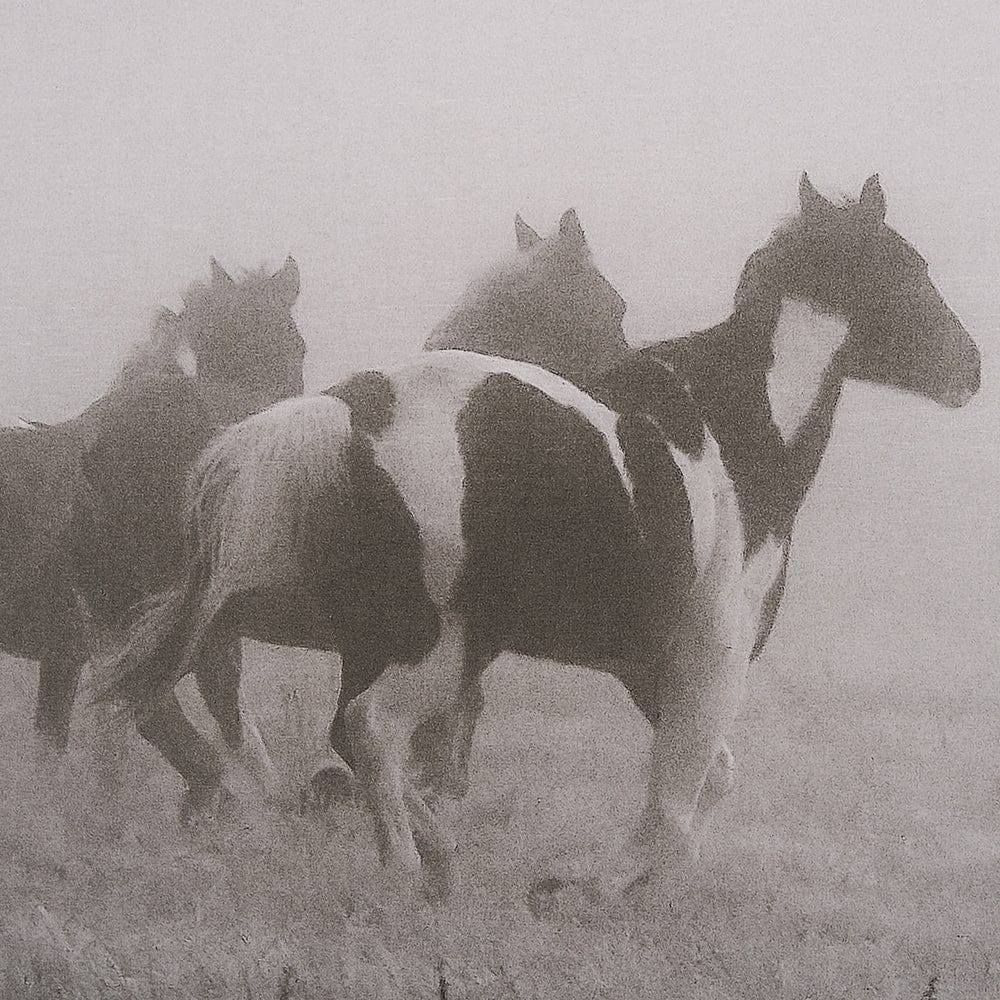 Mercana - Painted Horses on the Run by Debra Van Swearingen a Hand Embellished Framed Art Print Matted under G - 15460 view 7