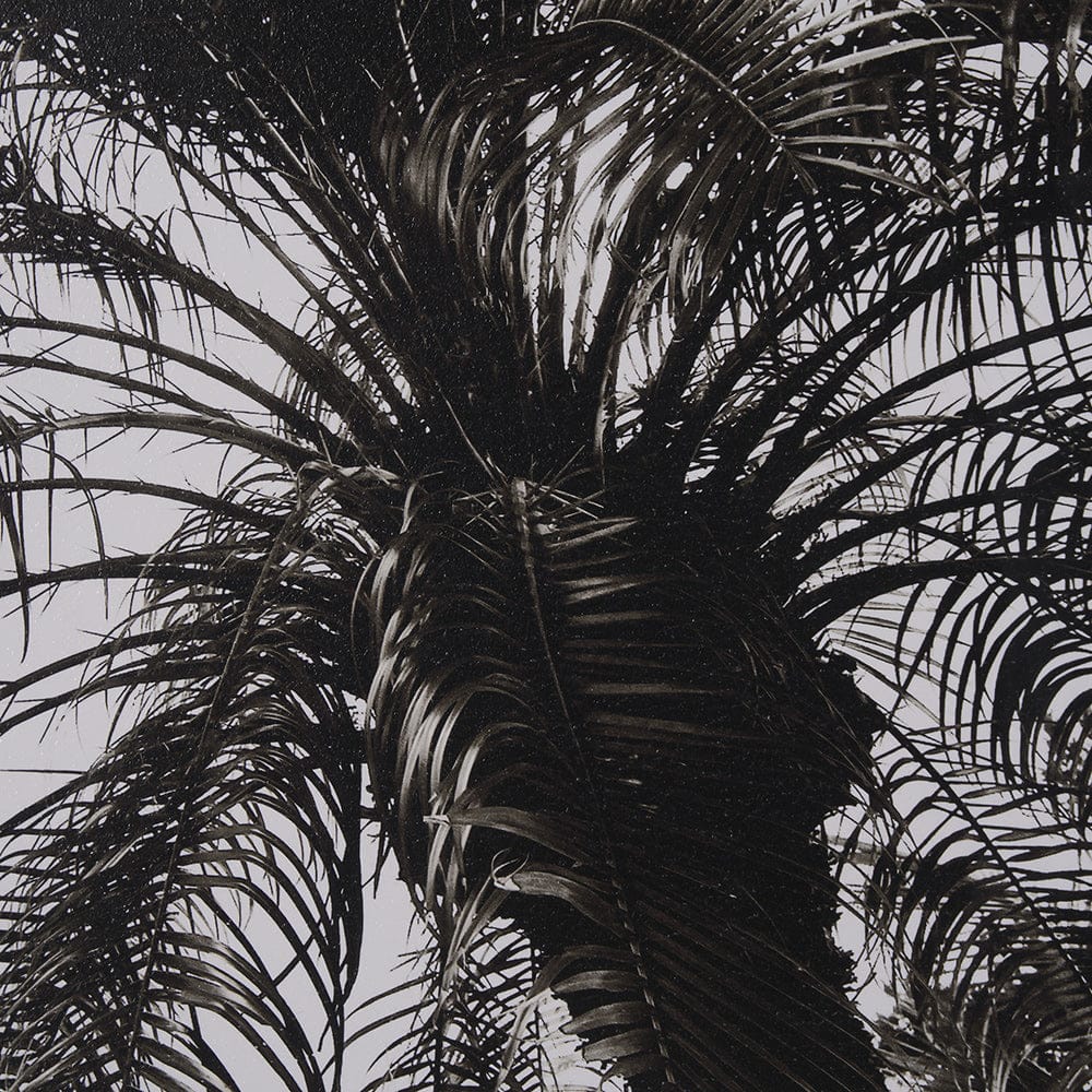 Mercana - Palm Tree Sepia I by Debra Van Swearingen a Hand Embellished Framed Art Print Matted under Glass - 15534 view 6