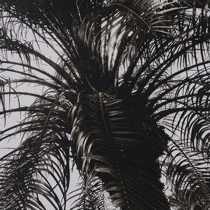Mercana - Palm Tree Sepia II by Debra Van Swearingen a Hand Embellished Framed Art Print Matted under Glass - 15535 view 6