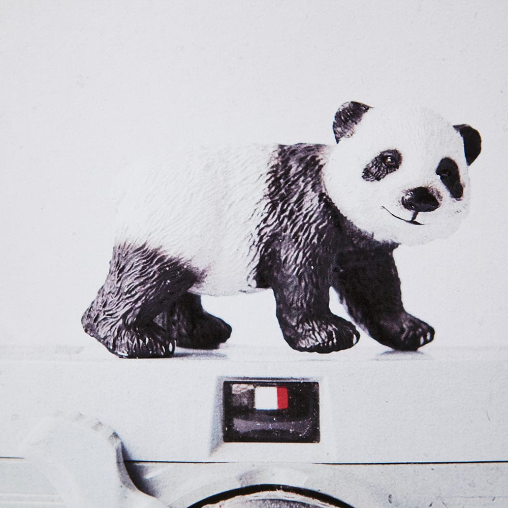 Mercana - Panda & Vintage Camera by Susannah Tucker Photography a Framed Art Print Matted under Glass - 12080 view 5