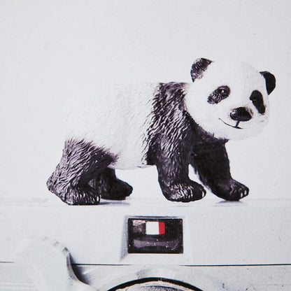 Mercana - Panda & Vintage Camera by Susannah Tucker Photography a Framed Art Print Matted under Glass - 12080 view 5
