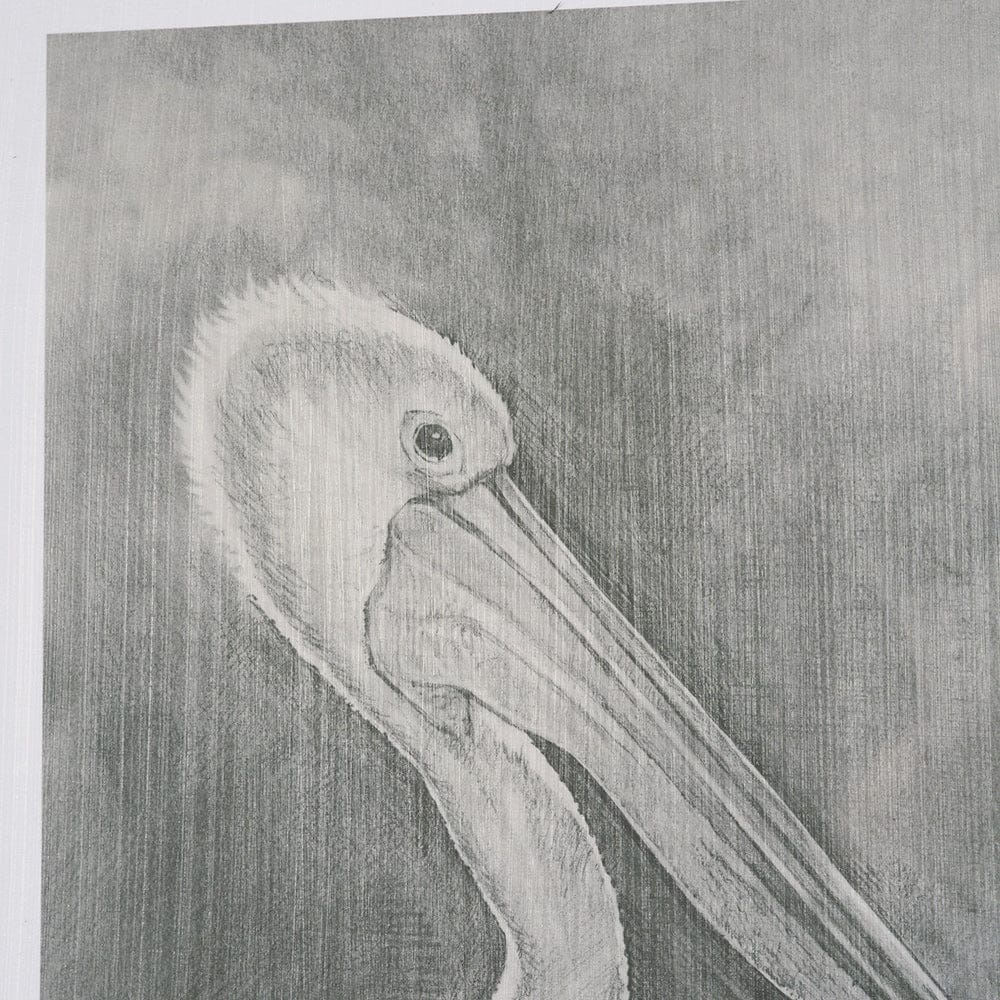 Mercana - Pelican Sketch by Mercana Studio a Hand Embellished Framed Art Print Matted under Glass - 15752 view 7