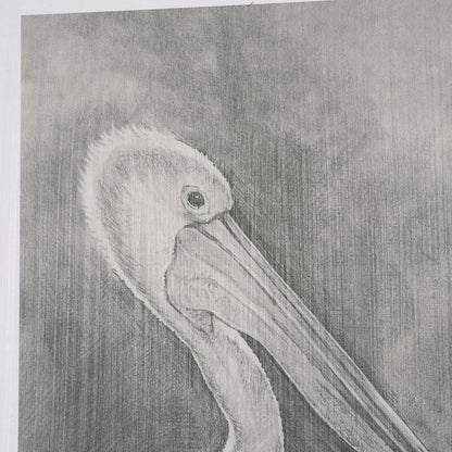 Mercana - Pelican Sketch by Mercana Studio a Hand Embellished Framed Art Print Matted under Glass - 15752 view 7