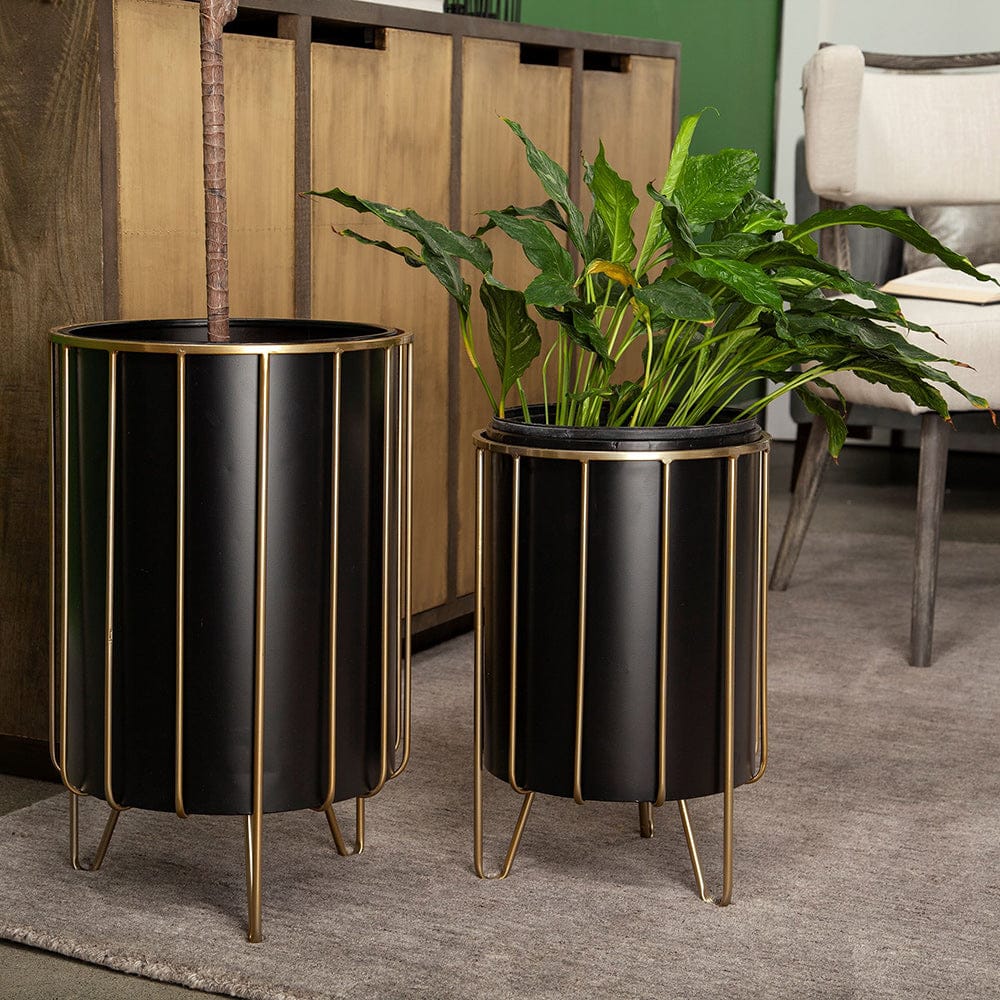 Mercana - Pianta 13 x 21 Set of Two Black Metal Insert Brass Frame Plant Stands - 67919 view 2