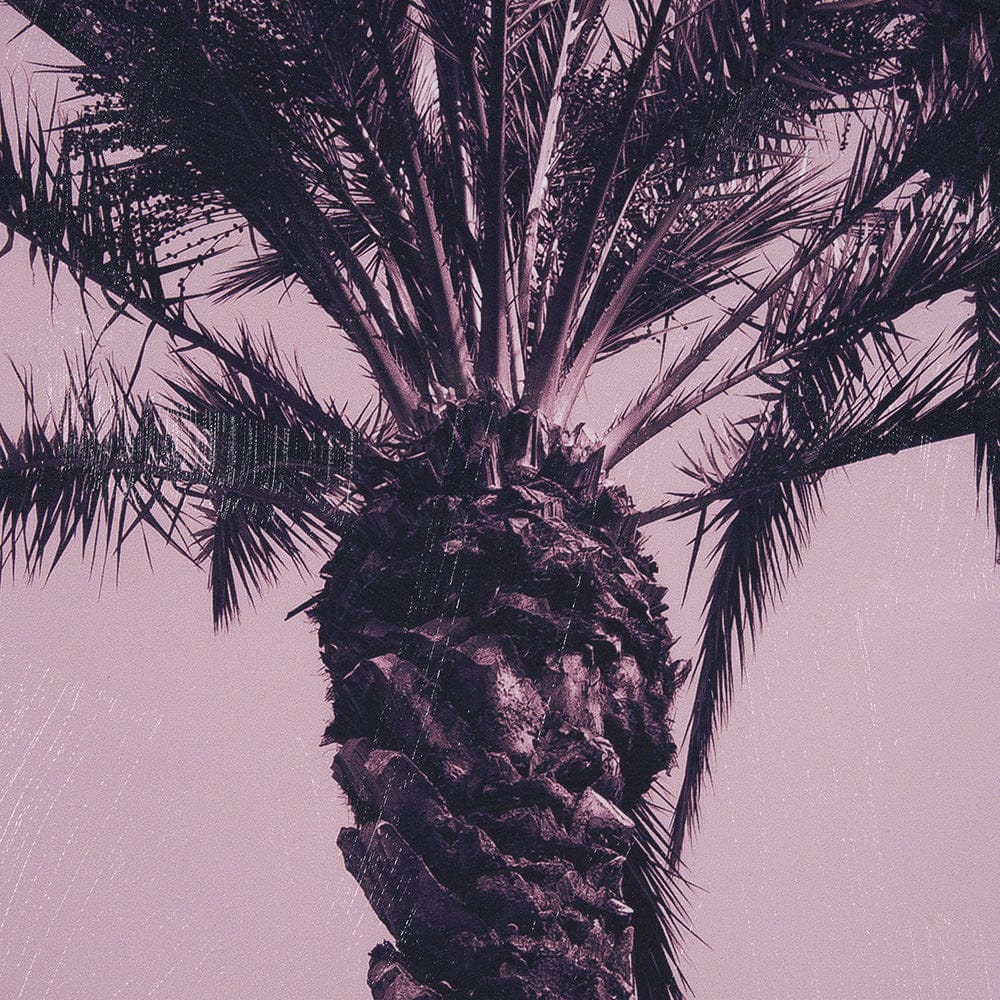 Mercana - Pink Palms I by Deborah Revell a Hand Embellished Framed Art Print - 15701 view 6