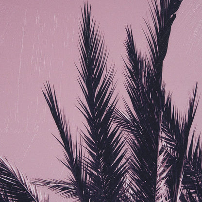 Mercana - Pink Palms I by Deborah Revell a Hand Embellished Framed Art Print - 15701 view 7