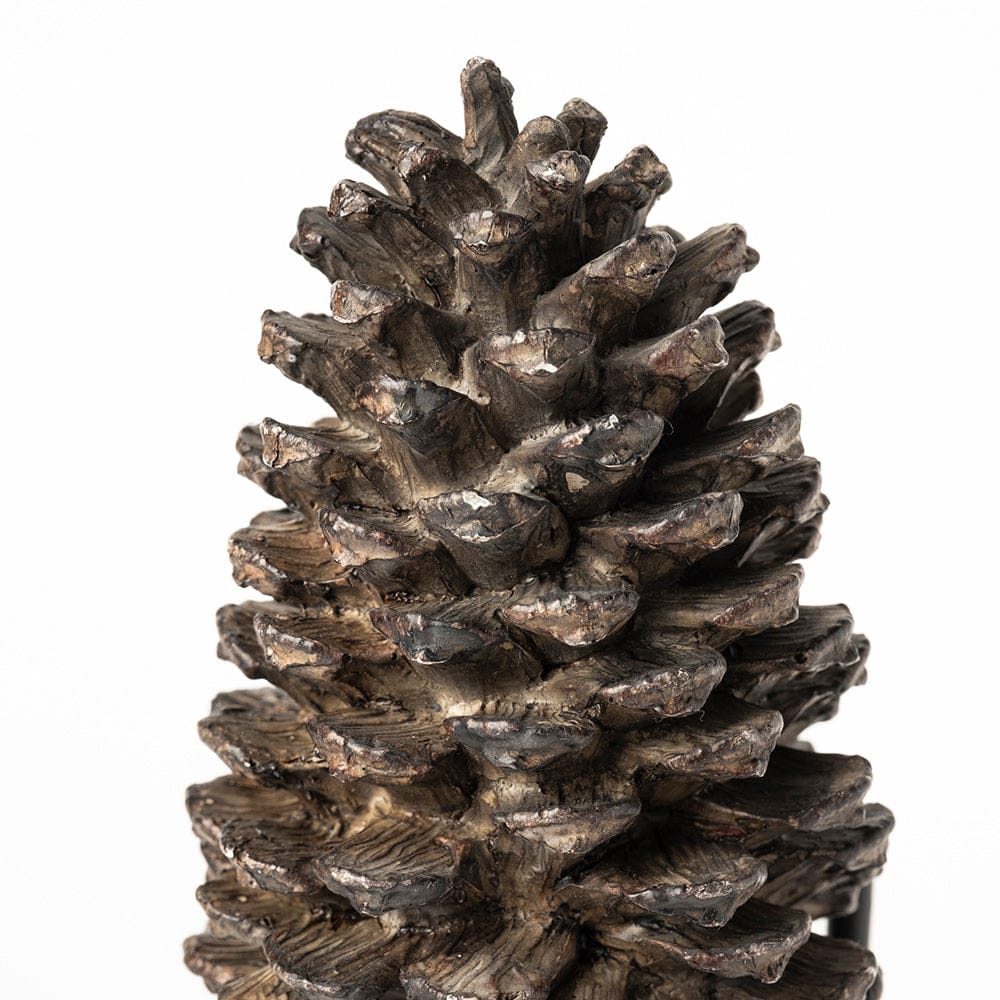 Mercana - Pinterra Large 4L x 4W Brown Resin Pinecone Replica - 68923 view 4