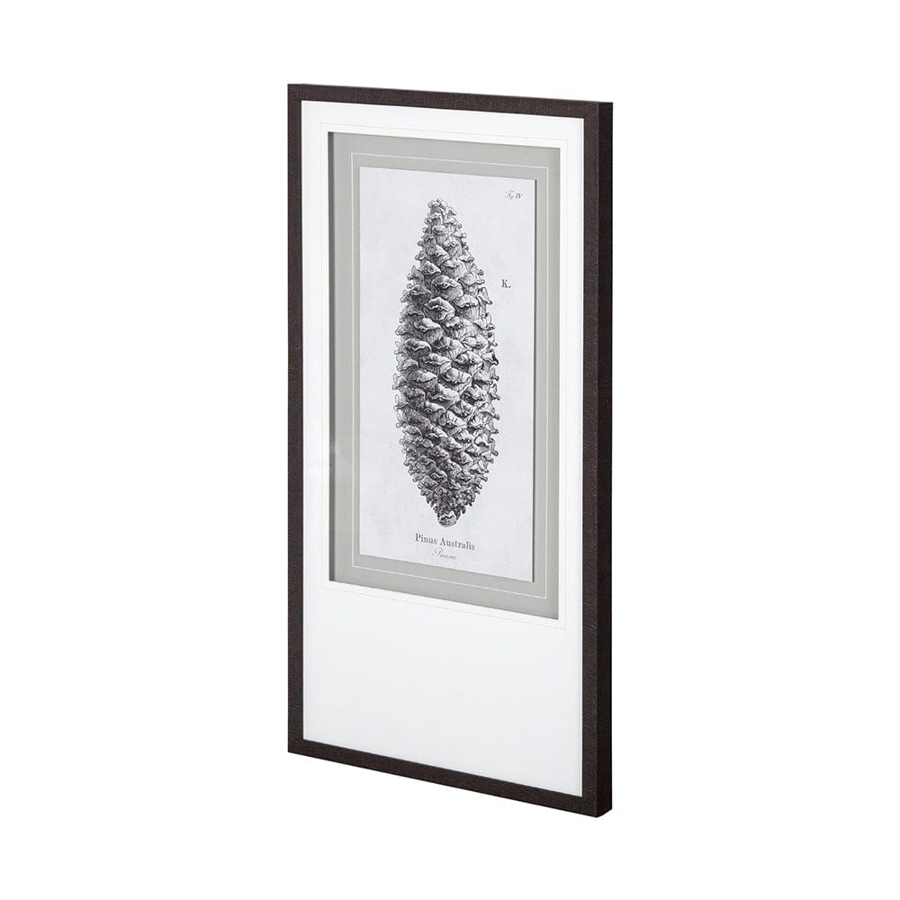 Mercana - Pinus Australis by Maria Mendez a Framed Art Print Matted under Glass - 12059 view 1