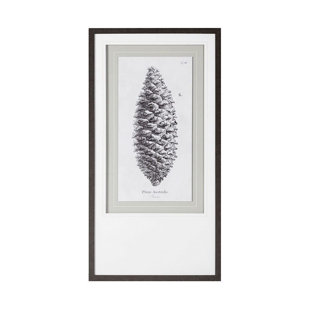 Mercana - Pinus Australis by Maria Mendez a Framed Art Print Matted under Glass - 12059 view 3