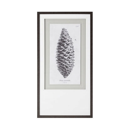 Mercana - Pinus Australis by Maria Mendez a Framed Art Print Matted under Glass - 12059 view 3