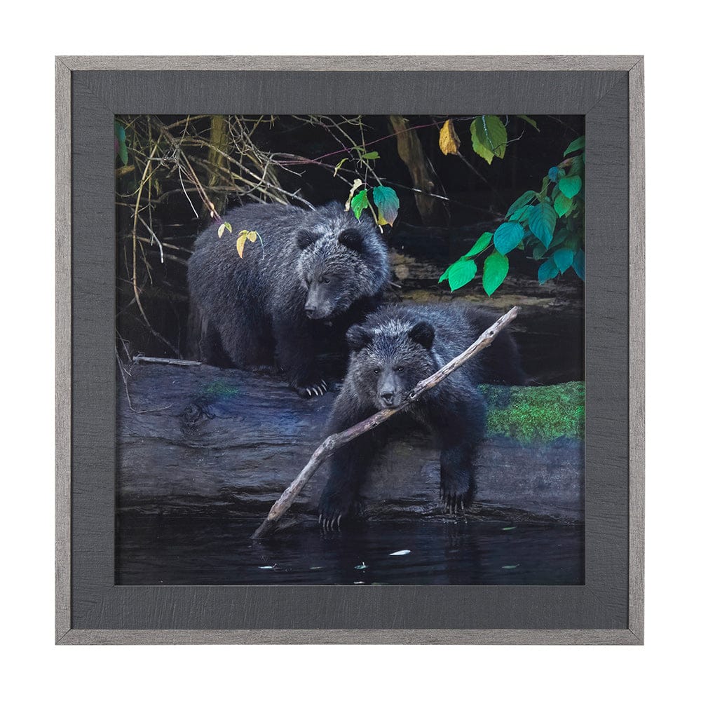 Mercana - Playing Bears by Chad Mackay a Hand Embellished Textured Framed Art Print Matted under Glass - 14370 view 1
