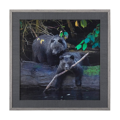 Mercana - Playing Bears by Chad Mackay a Hand Embellished Textured Framed Art Print Matted under Glass - 14370 view 1