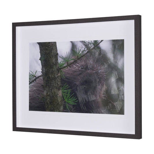 Mercana - Porcupine Visit by Chad Mackay a Hand Embellished Framed Art Print Matted under Glass - 15602 view 2