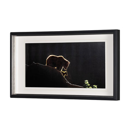 Mercana - Protection by Xavier Ortega a Framed Art Print Matted under Glass - 12519 view 2