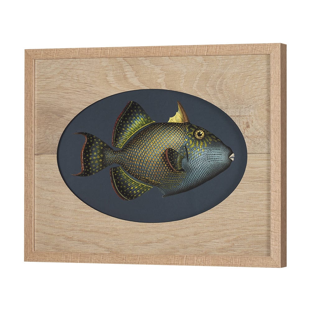 Mercana - Pseudobalistes Fuscus by Mercana Studio Hand Embellished Textured Framed Art Print Matted under Glas - 15159 view 2