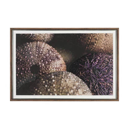 Mercana - Purple Sea Urchins by Nathan Larson a Hand Embellished Framed Art Print Matted under Glass - 15833 view 1