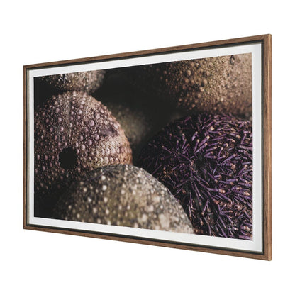 Mercana - Purple Sea Urchins by Nathan Larson a Hand Embellished Framed Art Print Matted under Glass - 15833 view 2